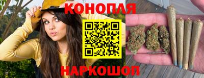 стаф Малгобек