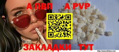 стаф Малгобек