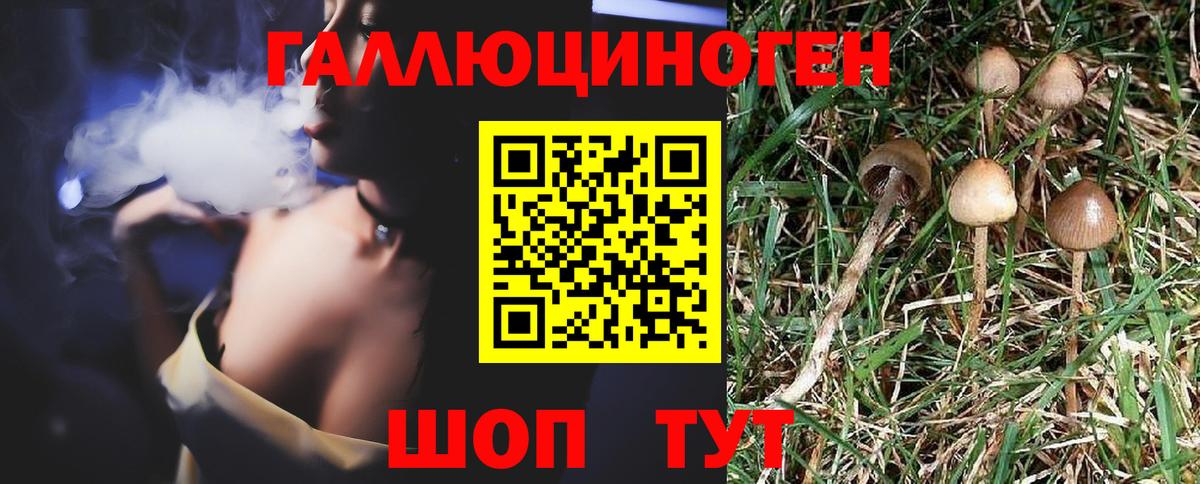 Псилоцибиновые грибы мицелий Дербент